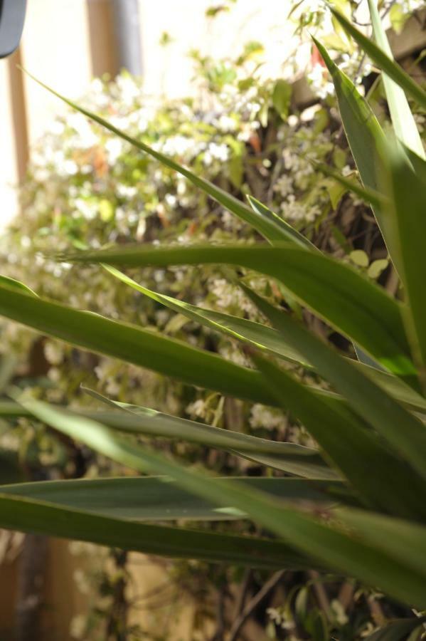 Giardino In Citta; Centralissimo Sanremo Exteriér fotografie